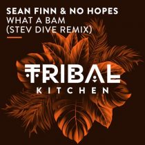 Sean Finn, No Hopes – What a Bam (Stev Dive Remix)