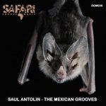 Saul Antolin – The Mexican Grooves