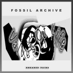 Fossil Archive – Valves Of Life