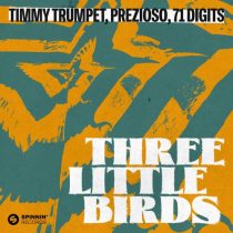Prezioso, Timmy Trumpet, 71 Digits – Three Little Birds (Extended Mix)