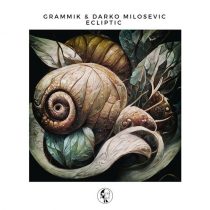 Darko Milosevic, Grammik – Ecliptic