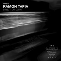 Ramon Tapia – Bring It On Down