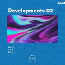 VA – Developments 02
