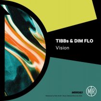 DIM FLO, TIBBs – Vision