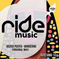 Joshua Puerta – Wondering