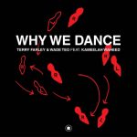 Terry Farley, Wade Teo, Kameelah Waheed – Why We Dance