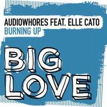 Audiowhores, Elle Cato – Burning Up
