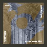 Coqui Selection – Can You See