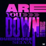 Selva, Gustavo Mota, Dubdogz – Are You Down (The Extended Remixes)