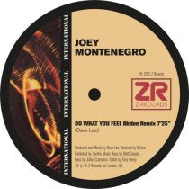 Dave Lee ZR, Joey Montenegro – Do What You Feel (Birdee Remix)