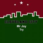 Mr Jay – Try