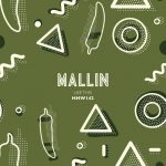 Mallin – Like This (Extended Mix)