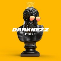 Darknezz – Pulse