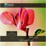 Kris Dur – Chiclamino