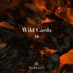 VA – Wild Cards 16