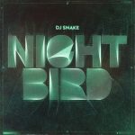 DJ Snake – Nightbird