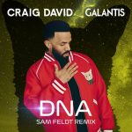 Craig David, Galantis – DNA (Sam Feldt Extended Remix)