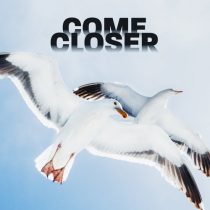 Come Closer – Never Let Me Go