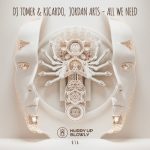 DJ Tomer, Ricardo, Jordan Arts – All We Need
