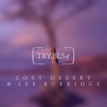Lee Burridge, Lost Desert – Somebody up There Likes You