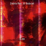 Bobcat, Zebra Rec. – XLR8