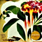 Jungle – GOOD TIMES (Sofia Kourtesis Remix)