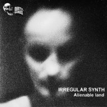 Irregular Synth – Alienable Land