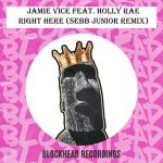 Jamie Vice, Holly Rae – Right Here (Sebb Junior Remix)