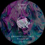 Groovy Cat (MX) – Promise EP