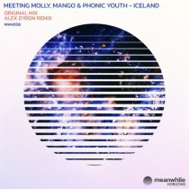 Mango, Phonic Youth, Meeting Molly – Iceland