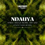 Warm, Enoo Napa, Idd Aziz, Amour Propre – Ndauya – Enoo Napa Remix – Extended Mix