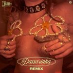 DUAL CHANNELS, Malifoo, Bala Desejo – Passarinha (Remix)