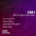GMJ – Into Fruition Remixes