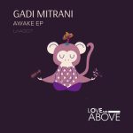 Gadi Mitrani – Awake