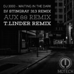 DJ 3000 – Waiting in the Dark