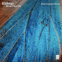 Kidnap – Birds That Fly – Rival Consoles Remix