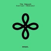The Ambush – Everlast – Remixes