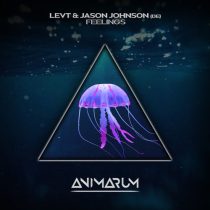 LEVT, Jason Johnson (DE) – Feelings