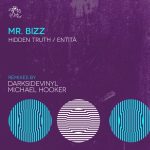 Mr. Bizz – Hidden Truth / Entità