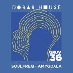 Soulfreq – Amygdala