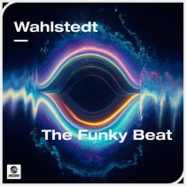Wahlstedt – The Funky Beat (Extended Mix)
