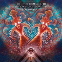 Liquid Bloom, Paul Stamets, Pere – The Mycelium is Remixed