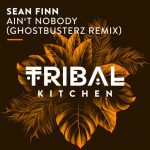 Sean Finn – Ain’t Nobody (Ghostbusterz Remix)