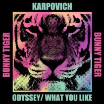 KARPOVICH – ODYSSEY / What You Like