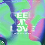 DubVision, Lucas & Steve, Joe Taylor – Feel My Love (feat. Joe Taylor) [Redondo Extended Remix]