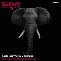 Saul Antolin – Shisha
