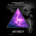Roger Lavelle – Energy