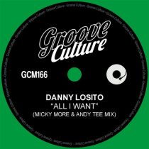 Danny Losito – All I Want