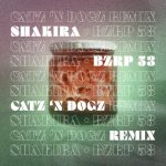 Catz ‘n Dogz – Shakira – Bzrp 53 (Catz ‘N Dogz Extended Remix)
