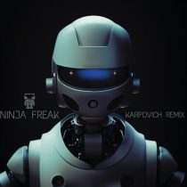 Anis hachemi, BRK (BR) – Ninja Freak (KARPOVICH Remix)